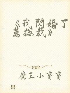 《我闪婚了个亿万总裁》