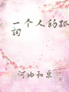 一个人的孤单歌词