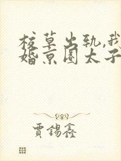 校草出轨,我闪婚京圈太子爷,他疯了