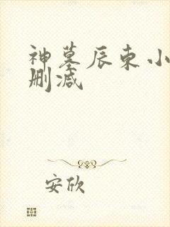 神墓辰东小说无删减