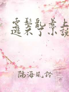 云鬓乱惹上权臣逃不了小说免费阅读