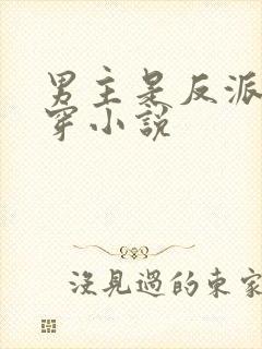 男主是反派的快穿小说