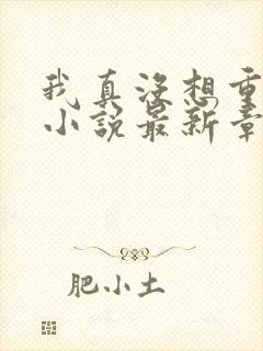 我真没想重生啊小说最新章节阅续