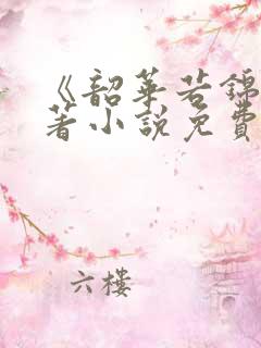 《韶华若锦》原著小说免费阅读