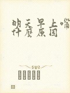 明天早上嘴巴苦什么原因