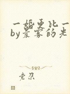 一婚更比一婚高by晨雾的光的小说