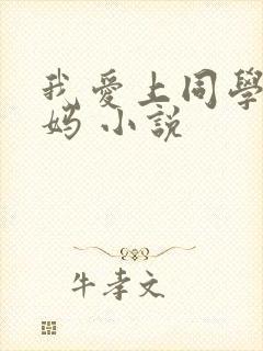 我爱上同学的妈妈 小说