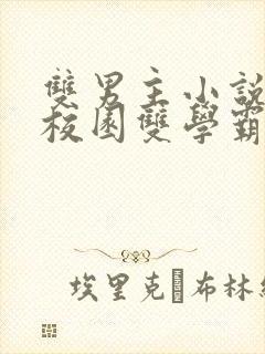 双男主小说推文校园双学霸