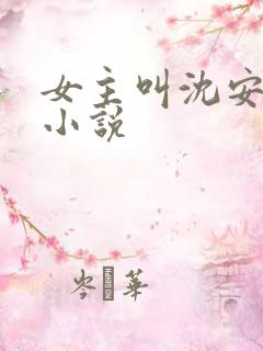 女主叫沈安澜的小说