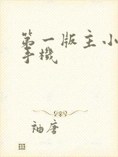 第一版主小说网手机