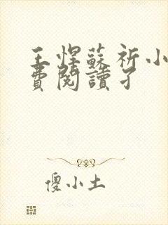 王悍苏祈小说免费阅读孑