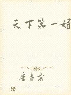 天下第一婿