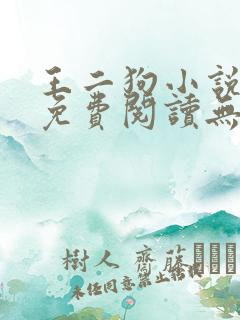 王二狗小说全文免费阅读无弹窗