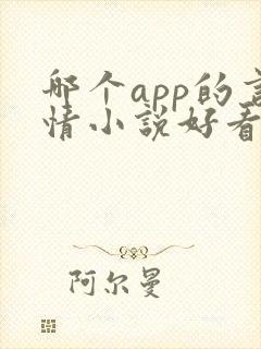哪个app的言情小说好看