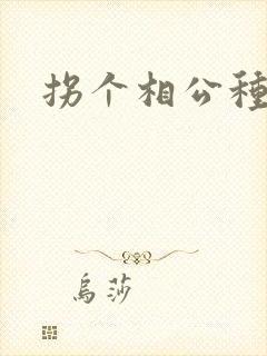 拐个相公种田忙