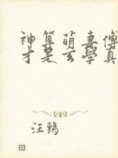 神算萌妻傅太太才是玄学真大佬锦朝朝傅霆渊