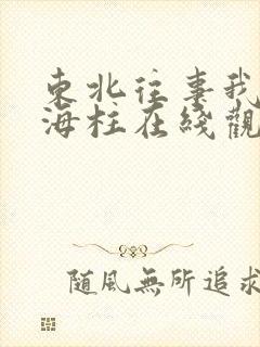 东北往事我叫刘海柱在线观看完整版