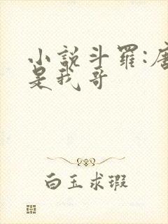 小说斗罗:唐三是我哥