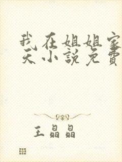 我在姐姐家的一天小说免费阅读