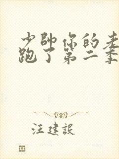 少帅你的老婆又跑了第二季