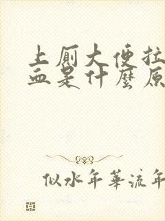 上厕大便拉鲜出血是什么原因女性