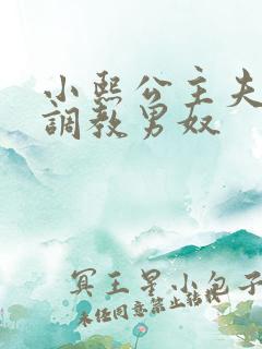 小熙公主夫妻主调教男奴