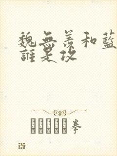 魏无羡和蓝忘机谁是攻