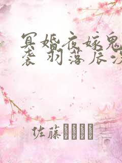 冥婚夜嫁鬼夫来袭 羽落辰汐