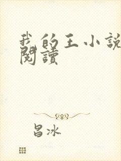 我的王小说免费阅读
