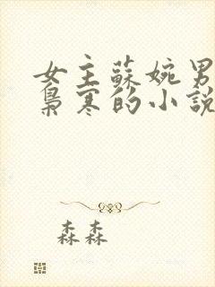 女主苏婉男主霍枭寒的小说