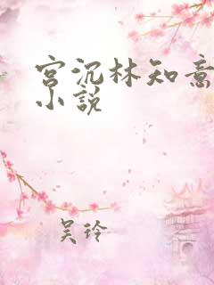 宫沉林知意正版小说