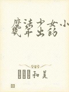 魔法少女小圆几几年出的