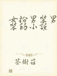 女扮男装男扮女装的小说