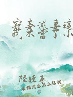 宠妾灭妻这王妃我不当了小说