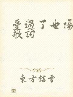爱过了也伤过了歌词