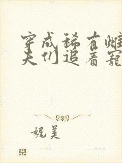 穿成稀有雌性兽夫们追着宠小说