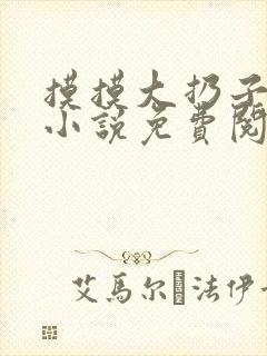 摸摸大扔子原著小说免费阅读