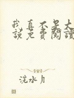 我真不是大佬小说免费阅读