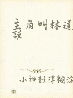 主角叫林道的小说