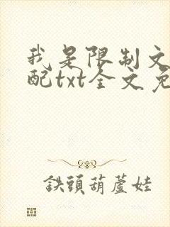 我是限制文的女配txt全文免费阅读