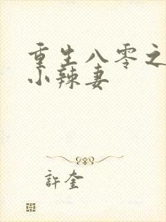 重生八零之致富小辣妻