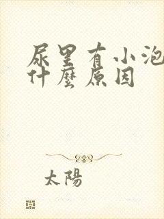 尿里有小泡泡是什么原因