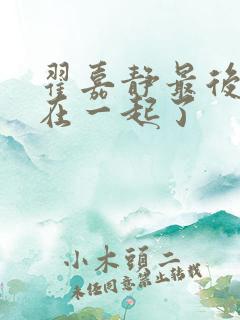 翟嘉静最后和谁在一起了