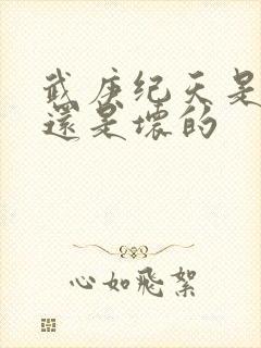 武庚纪天是好的还是坏的