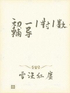 初一1对1数学辅导