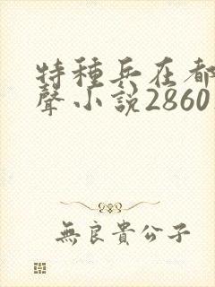 特种兵在都市有声小说2860集麒麟听书