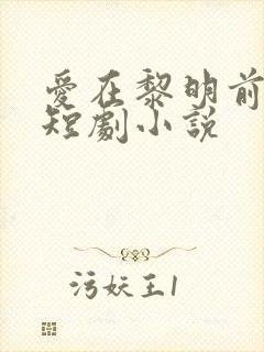 爱在黎明前升起短剧小说