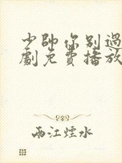 少帅你别过分短剧免费播放在线观看