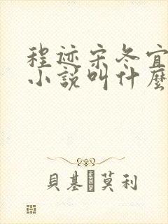 程迹宋冬宜原著小说叫什么名字