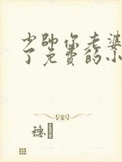 少帅你老婆又跑了免费的小说